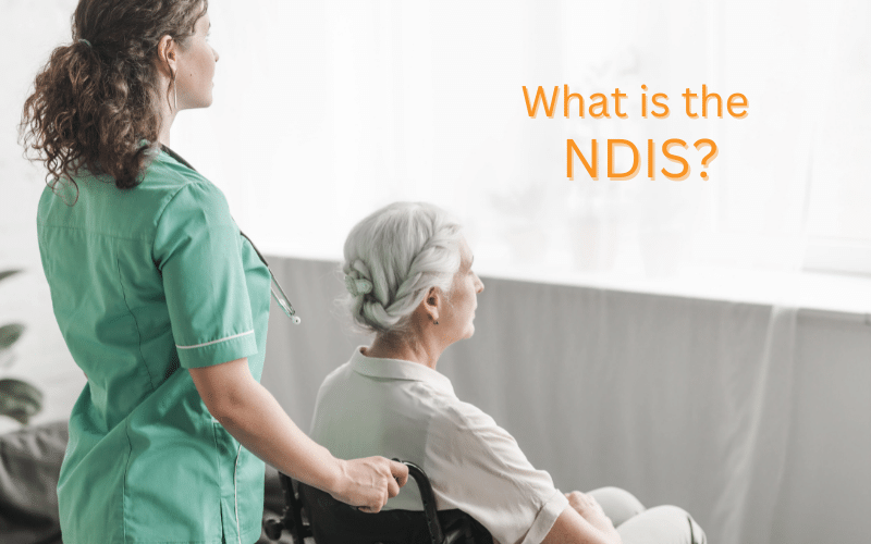 What is the NDIS?